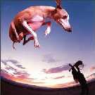 Paul Gilbert Flying Dog.jpg (3450 octets)